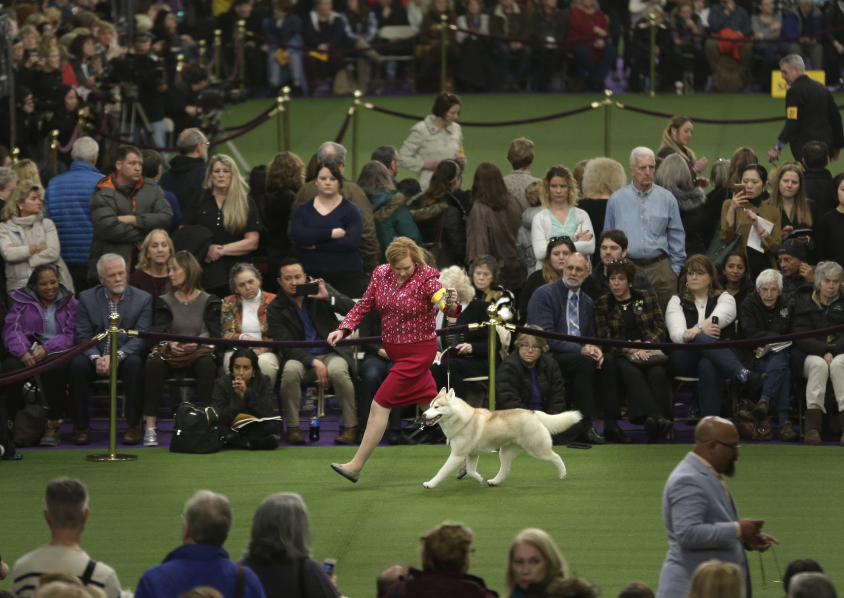 Westminster Dog Show